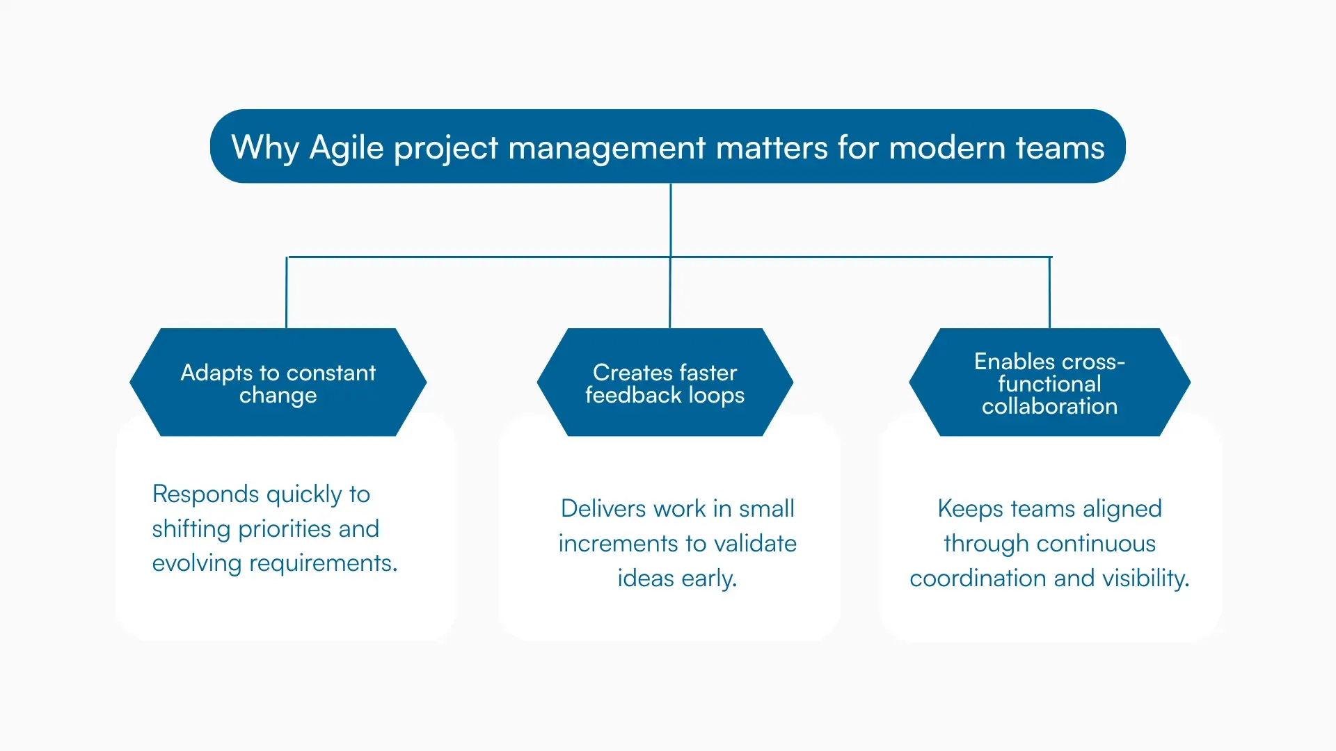 Flowchart showing why agile project management matters, showing change adaptation, feedback, and collaboration.