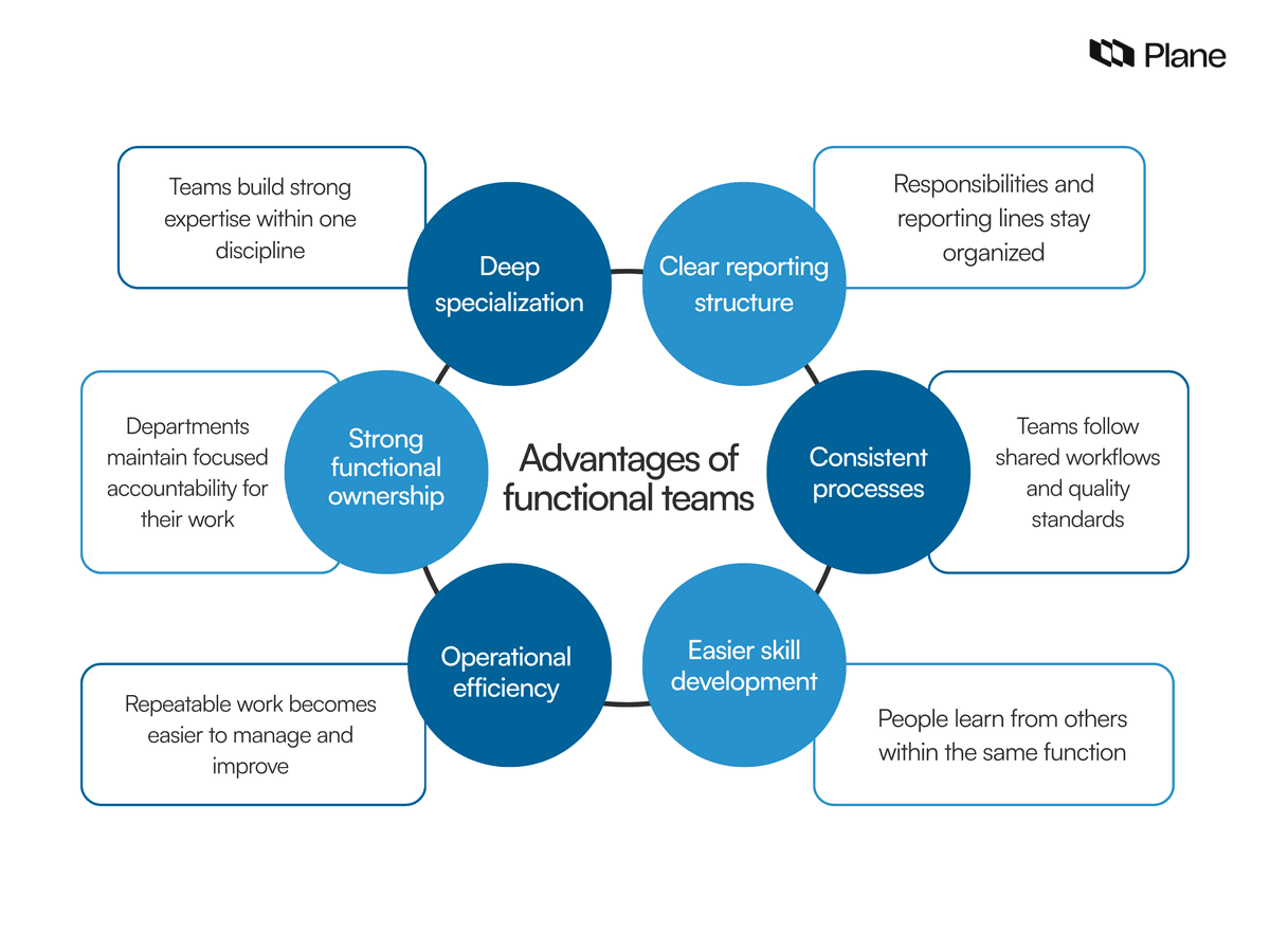 Functional Team What is a functional vs. cross-functional team? Key differences | Plane ...