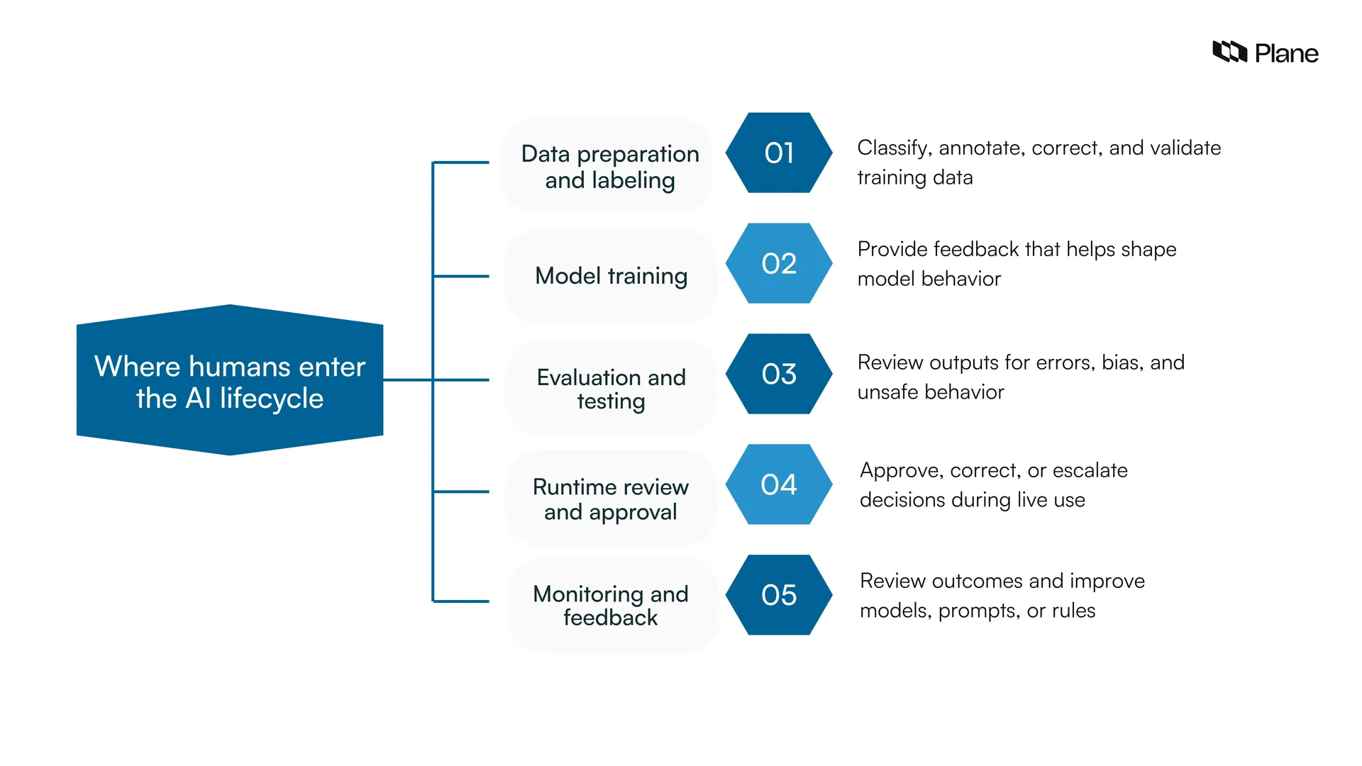 Five stages where humans can enter the AI lifecycle: data preparation, model training, evaluation, runtime review, and monitoring.