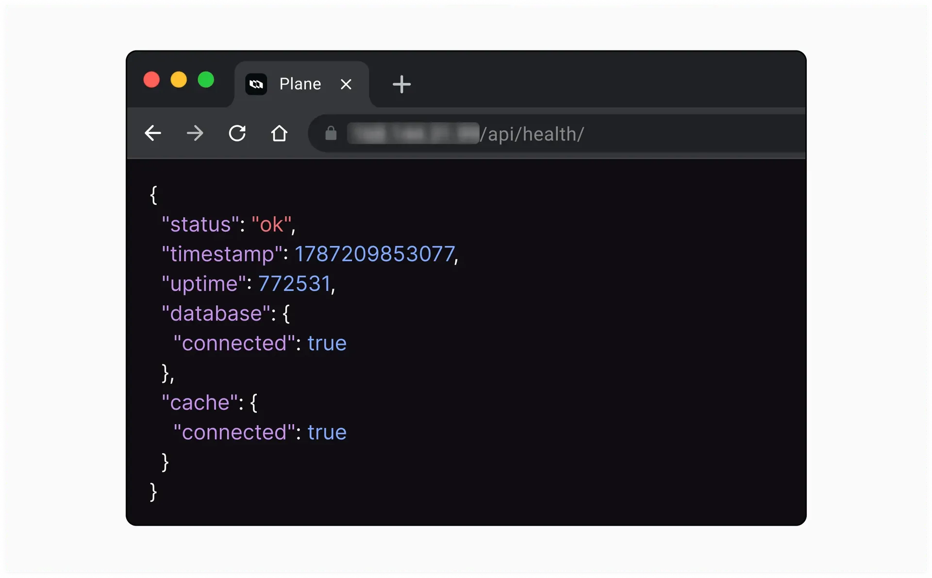 Screen showing JSON response